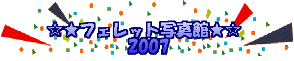 �����t�F���b�g�ʐ^�ف��� �@�@�@�@�@2007